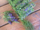 Eastern Red Cedar (Juniper) & Hyssop Flower Smudge, 4"