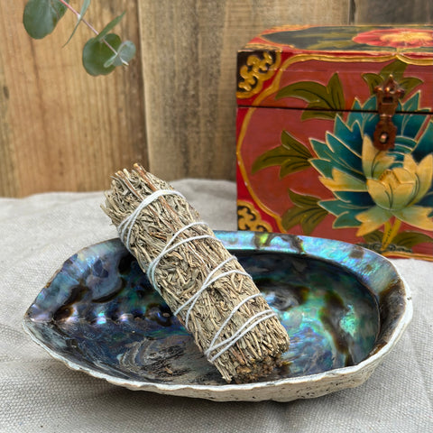 Blue Shasta Sage Smudge, 3-4"